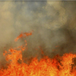 Na poli vypukol obrovsky poziar nasadili 40 hasicov