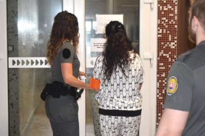 Policajna akcia Grizelda je na sude dilerka drog sa priznala