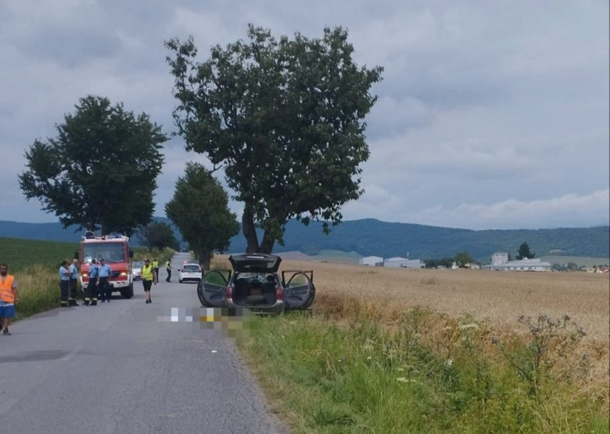 Pri Raznanoch auto narazilo do stromu vodic zomrel