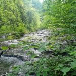 Trestne stihanie pri bagrovani pod Krasnohorskou jaskynou zastavili