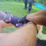 Muz ktory strielal na syna poslal sudca do vazby