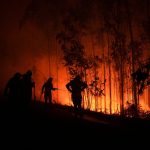 Na juhu varia zaziva na severe soby nehybne