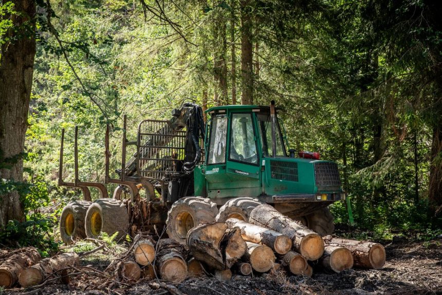 Slovensko bude pokracovat v tazbe dreva tvrdi Taraba