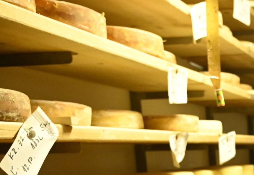 Svajciarsko sa angazuje aj za syr Prezidentka lobuje vo Washingtone za znizenie ciel