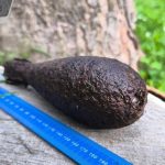 Hladali huby nasli municiu s trhavinou