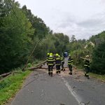 Silny vietor pripravil tisice domacnosti o elektrinu