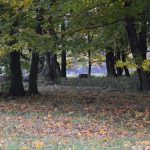 V pondelok nastane jesenna rovnodennost