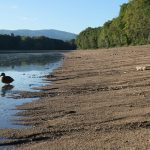 Vodna plocha sa zmensila o polovicu rybari varuju