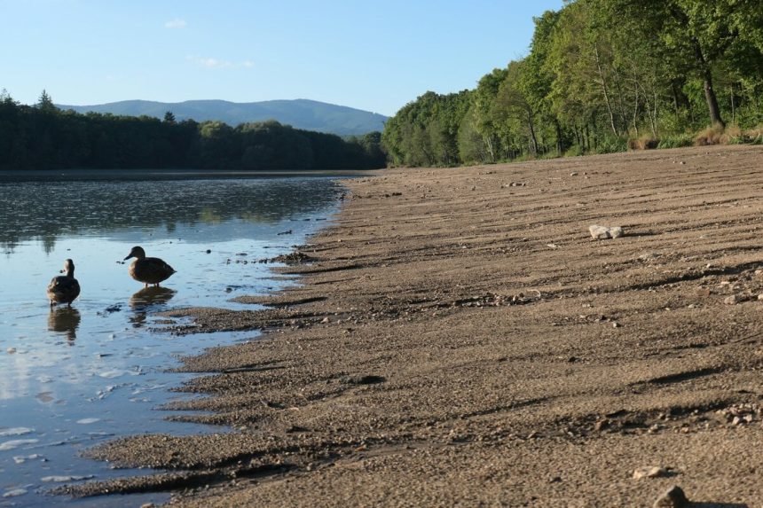 Vodna plocha sa zmensila o polovicu rybari varuju