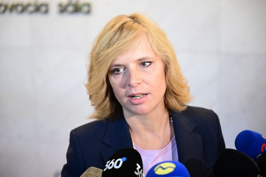 Remisova uspela s podnetom Socialne podniky sa skontroluju