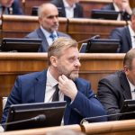 SaS chce presadit zakon o dobrovolnickych jednotkach policie