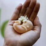 Spanelksa vlada chce zakotvit pravo na interrupciu