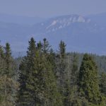 Vojtech Ferencz je povereny vedenim Lesov SR