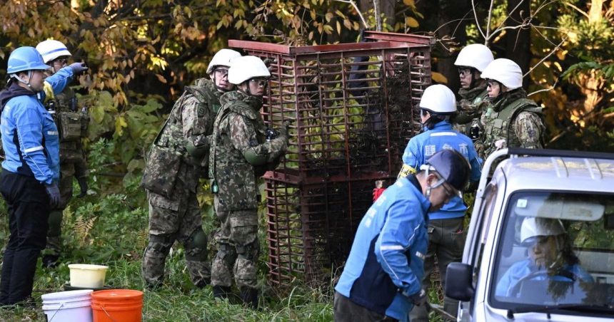 Japonsko zapoji byvalych policajtov proti medvedom
