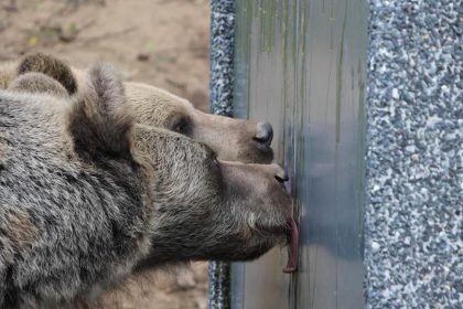 KOSICE Zoologicka zahrada v Kosiciach je opat otvorena