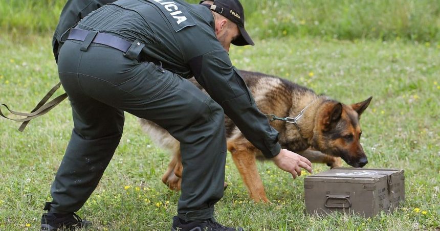 MV SR nakupi nove koterce pre policajne psy za 659000 eur