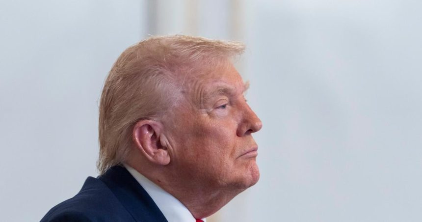 Biely dom vysvetlil naplasti na Trumpovej ruke