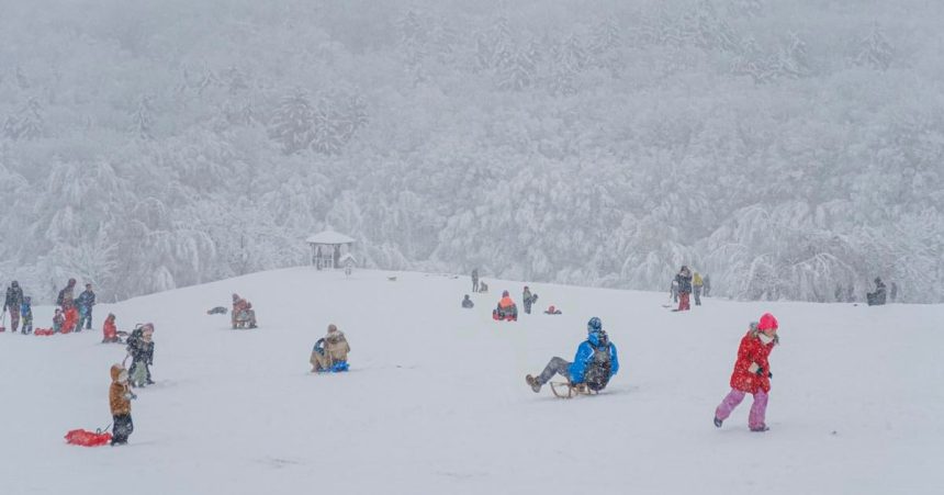Dopravny podnik v Bratislave planuje zimnu sezonu linky 144