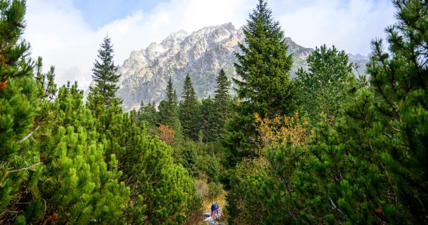 Oktober priniesol viac turistov navstevnost hotelov stupla