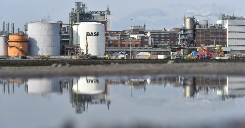 Sef koncernu BASF odmieta tvrdenia o deindustrializacii Nemecka