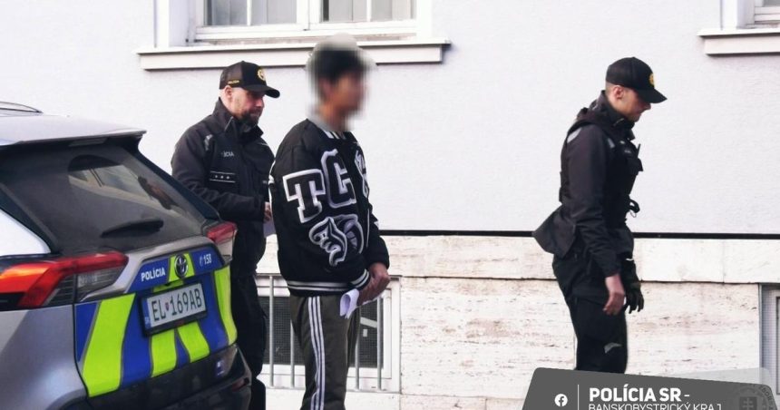 Trojiica mladikova surovo napadla a okradla muza
