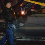 USA Styria mrtvi pri strelbe na rodinnej oslave