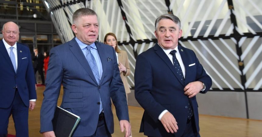 Vladny special mal v Bruseli nehodu