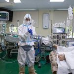 Novy kmen chripky a psi koronavirus Prehlad virusov ktore vedcov najviac trapi