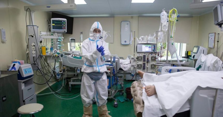 Novy kmen chripky a psi koronavirus Prehlad virusov ktore vedcov najviac trapi