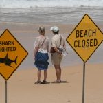 chlapec po utoku zraloka pri plazi v sydney zomrel v nemocnici