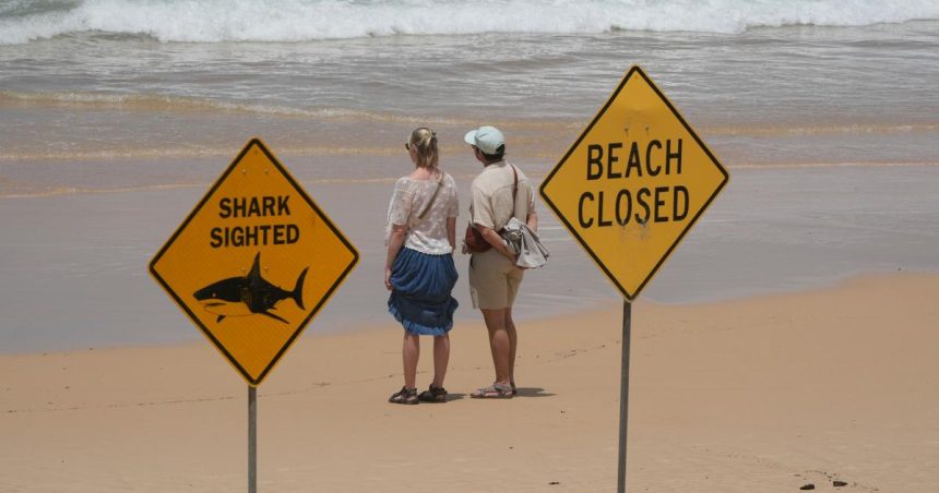 chlapec po utoku zraloka pri plazi v sydney zomrel v nemocnici