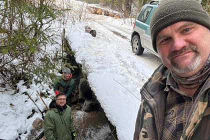 pracovali v mrazoch aby sa pstruhy vratili domov v potokoch na liptove je desattisice ikier