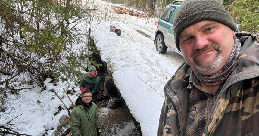 pracovali v mrazoch aby sa pstruhy vratili domov v potokoch na liptove je desattisice ikier