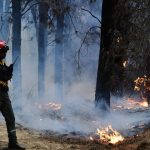 Argentna vyhlasila v oblastiach Patagnie ndzov stav z dvodu lesnch poiarov