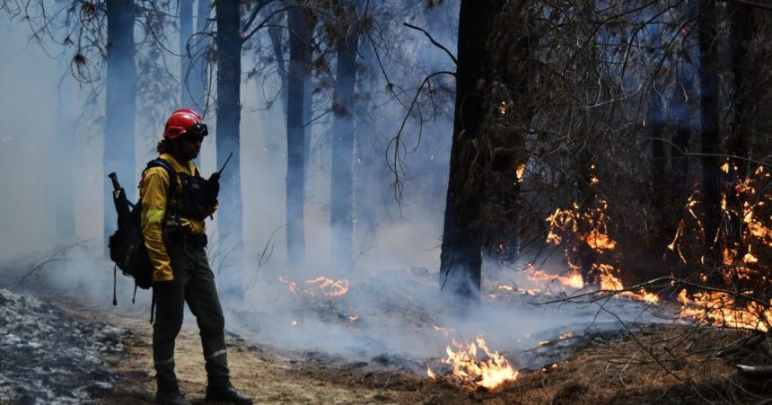 Argentna vyhlasila v oblastiach Patagnie ndzov stav z dvodu lesnch poiarov