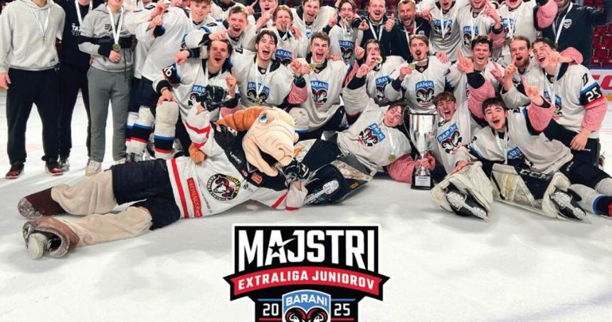 Bystricani si vybrali Medzi top sportovcami su hokejista plavec aj atletka