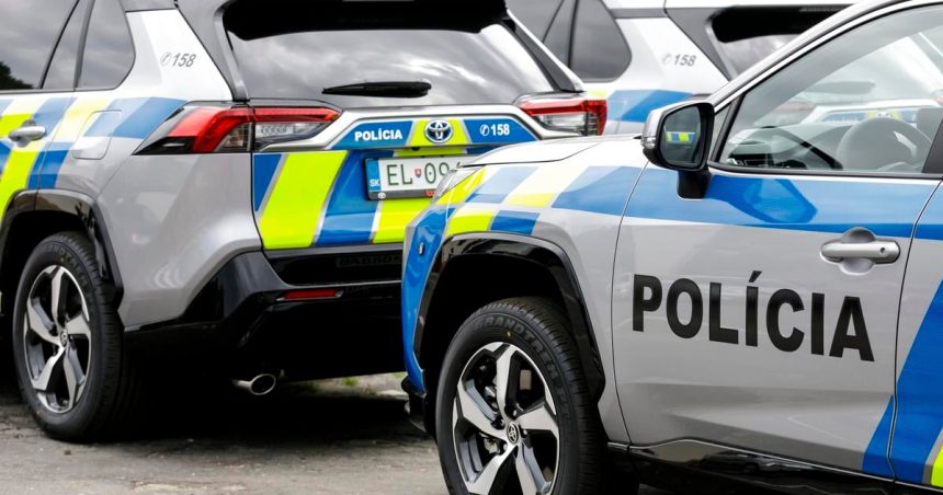 Ministerstvo vnutra planuje obnovit vystroj a vybavenie poriadkovych policajtov