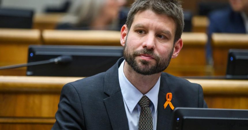 Simecka Matovic sa znova chopil prilezitosti pomoct Ficovi v teme auditu