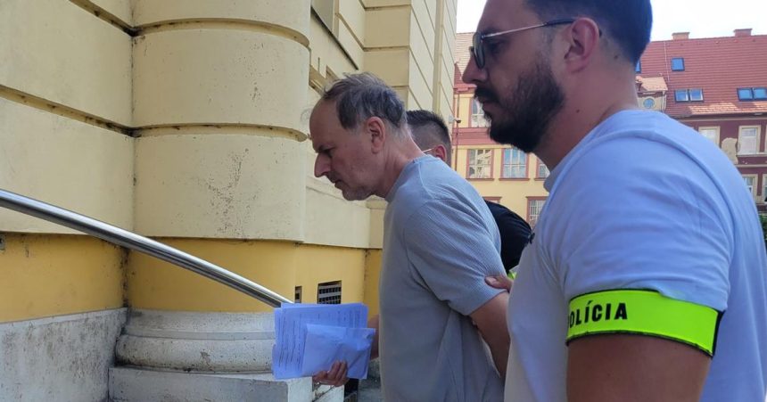 Zrazil lekarku stiahaju ho za vrazdu Z psychiatrie prisiel navrh na sud aby sa liecil ambulantne
