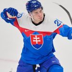 hokejovy osial vrcoli listky na hokej v milane od 30 eur da sa to ale musis mat stastie