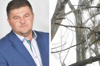 Jedenast topolov vyrubali aj ked na to nemali Starostu odsudili a prisiel o mandat