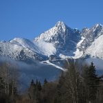 Ustav ekologie lesa navrhuje statnym organom viacere zmeny pri zonaciach