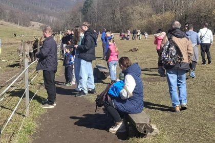 Uz to vypuklo Parkovisko pri svetovej rarite praska vo svichoch