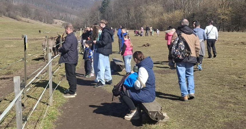 Uz to vypuklo Parkovisko pri svetovej rarite praska vo svichoch