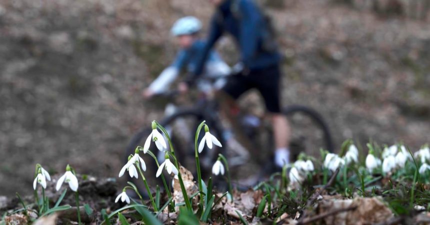 V Nitre bolo kazdy den aspon 15 stupnov Prva polovica marca priniesla nezvycajne teple dni