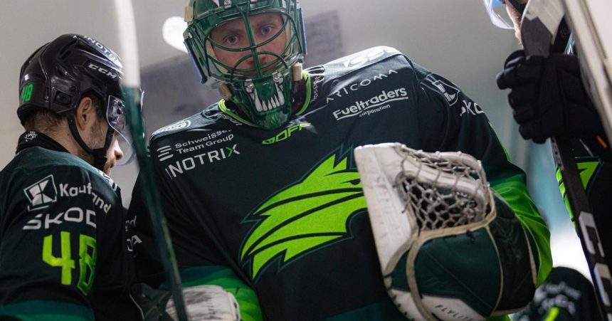 Zilinu zachranoval lietajuci Connor Zasluzi si tri piva glosoval spoluhrac