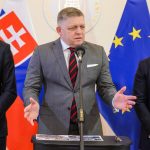 absurdne ale vitane vlada pri zakone o oznamovateloch ustupila predovsetkym kvoli financnemu tlaku unie hovori expertka