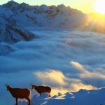 jedna dobra sprava jedna obava a jedno varovanie