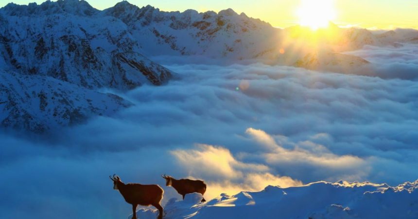 jedna dobra sprava jedna obava a jedno varovanie