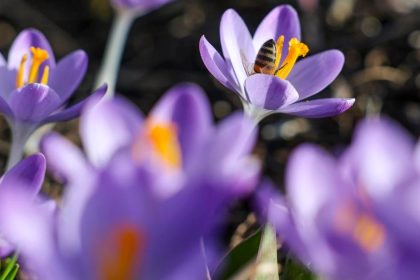 tohtorocny februar bol piatym najteplejsim februarom v historii merani uvedol copernicus